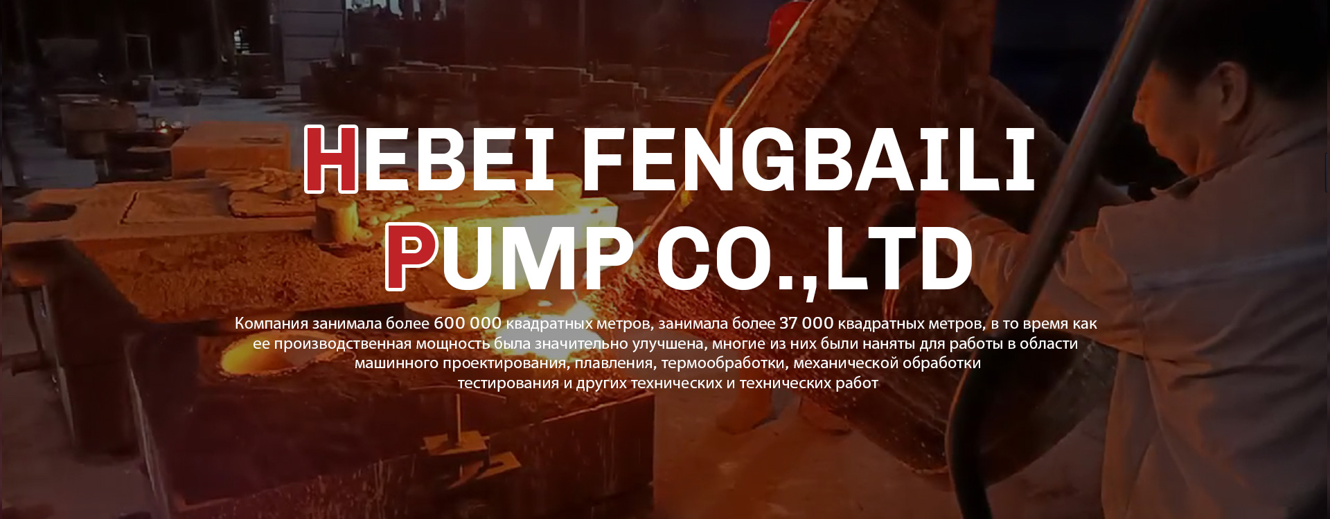 Hebei Fengbaili Pump Industry Co., Ltd.
